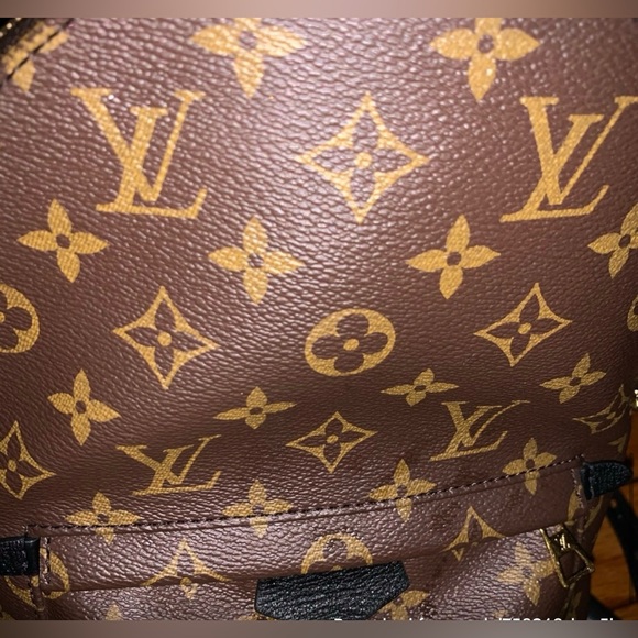 Louis Vuitton 
Monogram Palm Springs Backpack PM - Picture 11 of 15